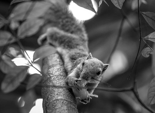 网站ddos隐藏源ip